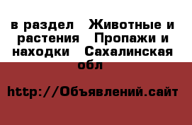  в раздел : Животные и растения » Пропажи и находки . Сахалинская обл.